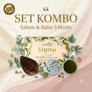 SET KOMBO